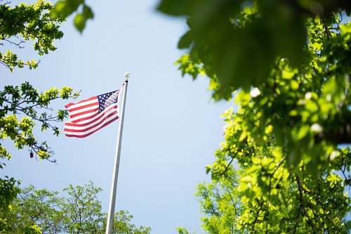 american flag USA flag on pole near trees symbol